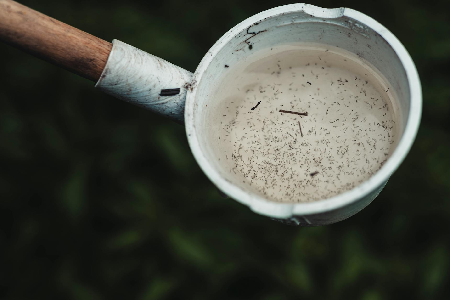 iron tool with mosquitos traces
