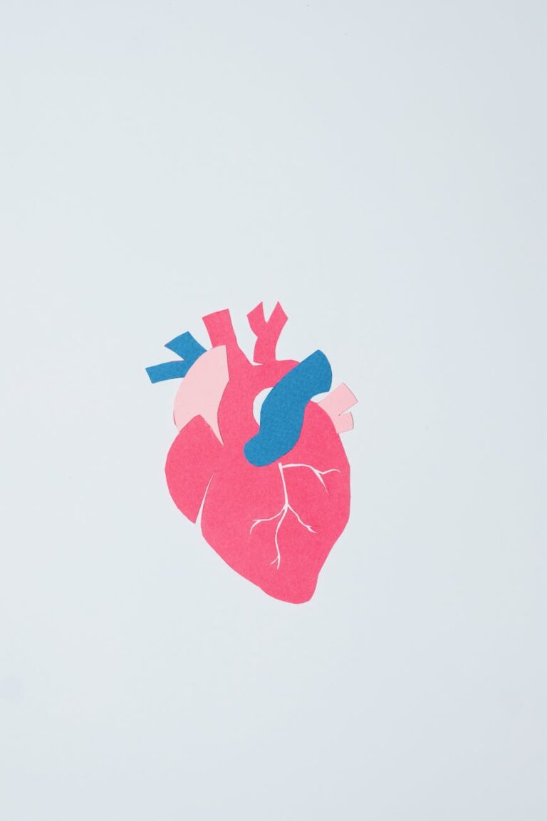 an illustration of a heart