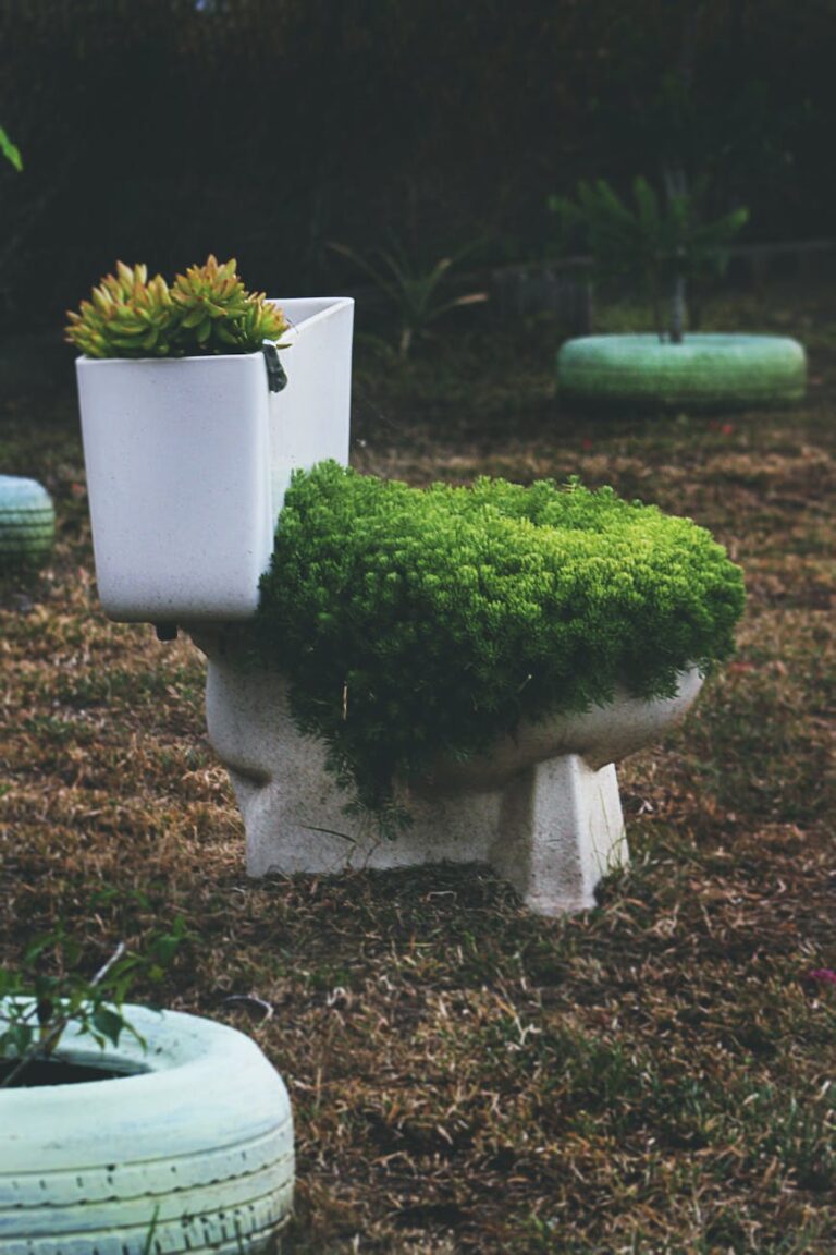 green leafed plants on toilet bowl